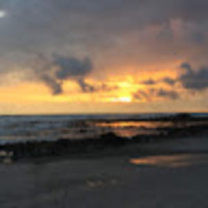 Meet your Posher, Luz naira